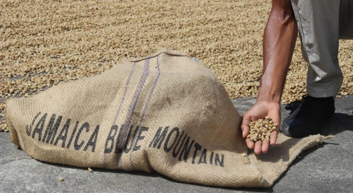 hedone-jamaica-blue-mountain-6-1024×560